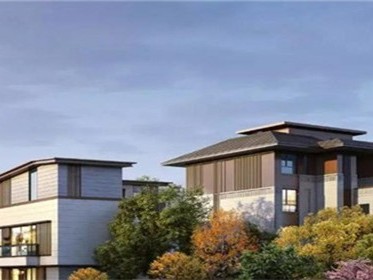 集体土地征用有赔偿吗