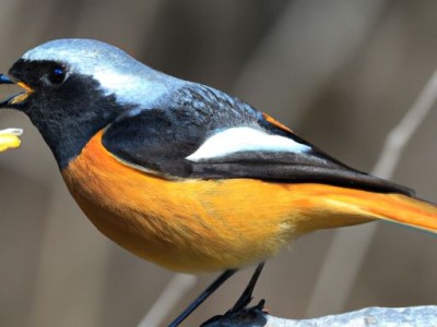 地采暖及地采暖每平米价格