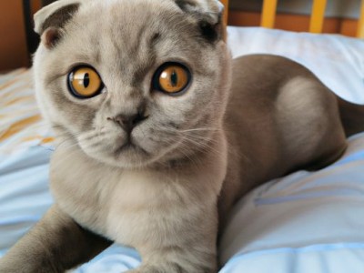 车载mp3哪个牌子好（车载mp3哪个牌子好用）