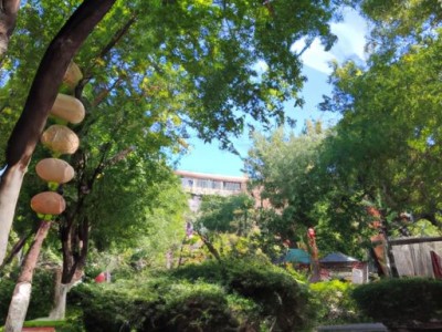 绿森林兰舍哪个好？绿森林好还是兰舍好？