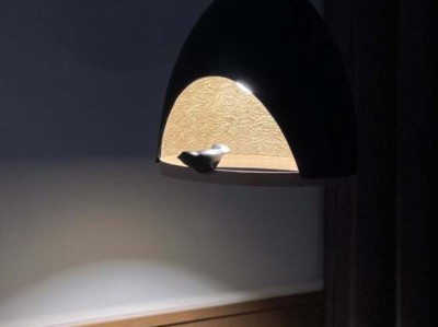 山指甲（山指甲图片）