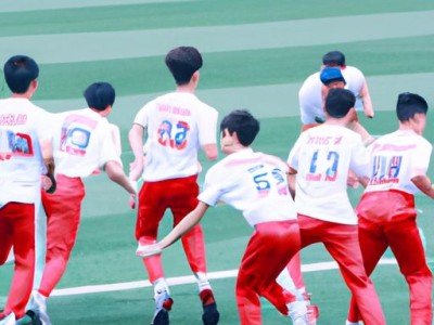 银合欢哪个及银合欢有几种