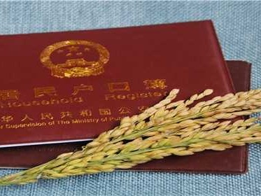 补办户口本不是户主可以补办吗