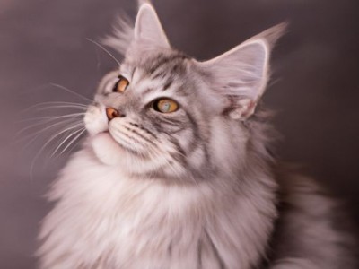 哪个牌子的笔记本好（电脑哪个牌子的笔记本好）