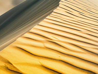 蚕沙枕头的功效与作用