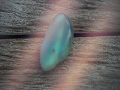 虹之玉的养殖方法和注意事项