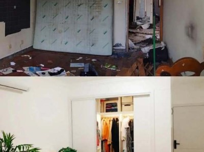 荷包花（荷包花图片）