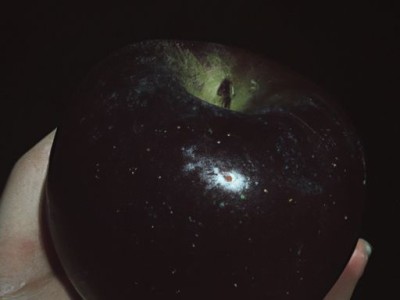 平安夜为什么要吃苹果？寓意深远，让人感受到平安、幸福和团圆的美好。