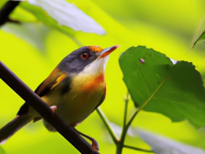 正度对开尺寸及正度对开尺寸是多少