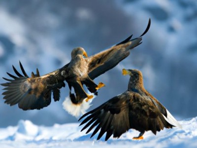 儿童沙发（儿童沙发发质怎么改善）