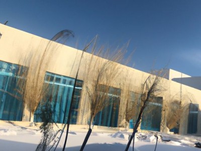 魔涂漆和三棵树哪个好？涂料三棵树怎么样？