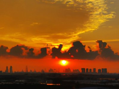 步阳群升哪个好及步阳和群升