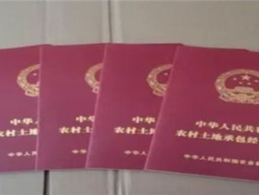 农村宅基地证在哪个部门办理