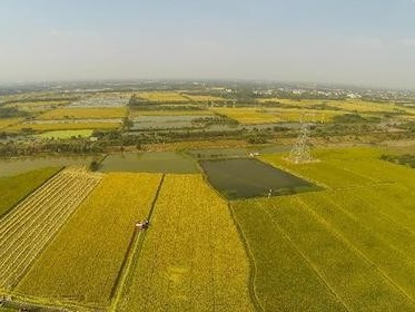 德州市土地流转补贴标准是什么