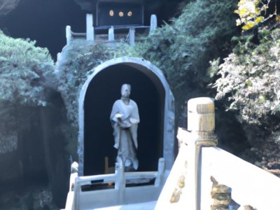 龙岩素和观音素哪个好？——素食爱好者必看的对比分析