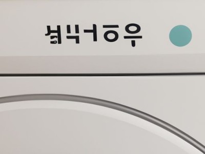 洗衣机韩国哪个牌子好用及洗衣机韩国哪个牌子好用又实惠