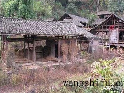 酸枝木的档次及其特点