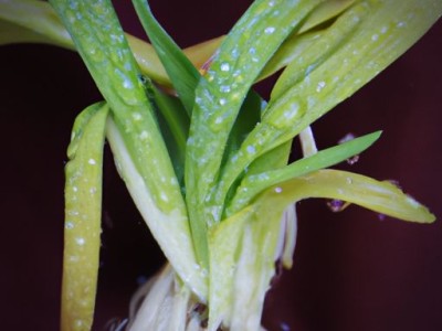 哪个子贴（贴什么东西）