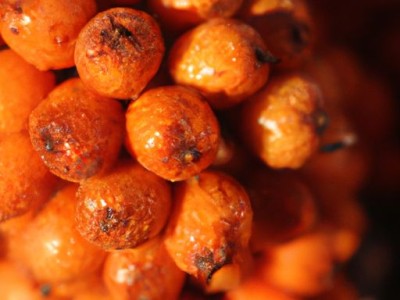 长寿果的营养价值及功效