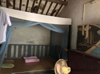 玉翁（玉翁仙人球的养殖方法和注意事项）