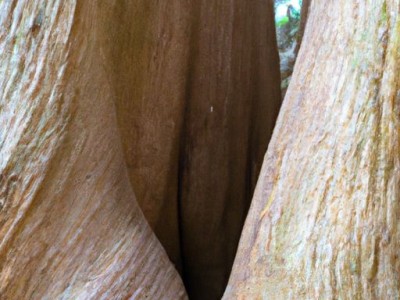 冬季铺贴墙纸这些知识你需要知道