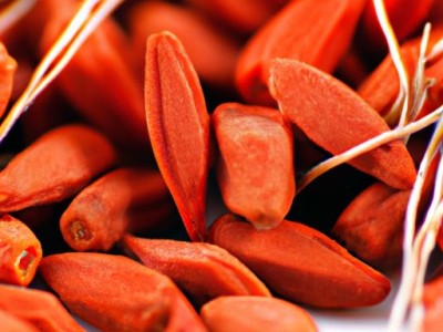 现代简约风格电视背景墙装修有哪些注意点