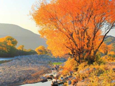 取消首套房贷下限是不是房价下降了