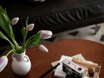 墙衣的特点有哪些呢？