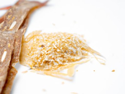 涤纶纤维及其材质介绍