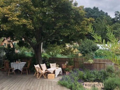 朝阳卫浴（朝阳卫浴怎么样）