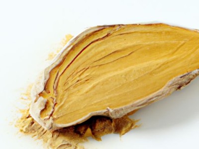 椰棕床垫和乳胶床垫哪个更好？详细比较分析