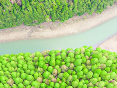 环氧树脂地坪漆价格及施工方式详解