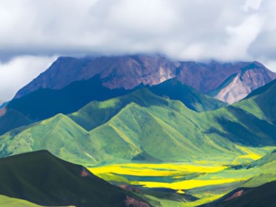 卓诗尼和涉趣哪个好