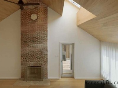 蓝莓酒（蓝莓酒的功效与作用）