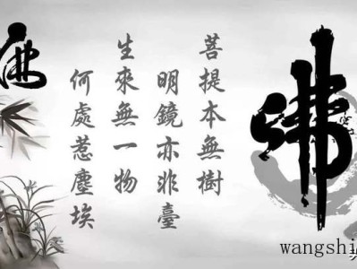 吊床（吊床绳子怎么绑）