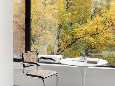 石斛兰（石斛兰的养殖方法和注意事项）