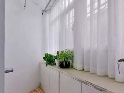 贵妇人犬（贵妇人犬图片头像）