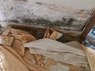 一楼房子潮湿，别着急装修，有3种方法要提前了解（一楼房子装修好了才知道潮湿怎么办）