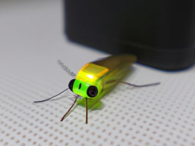 电子灭蚊灯到底有没有用？——揭秘电子灭蚊灯的真相