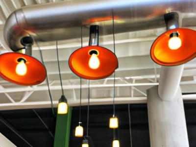 熊童子（熊童子的种植和养护方法）