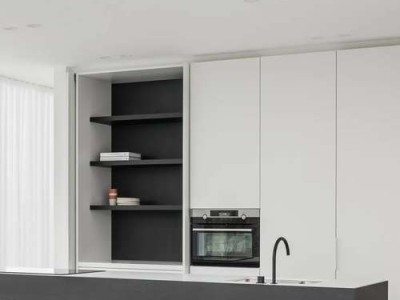 眩美玉（眩美玉仙人球开花图片）