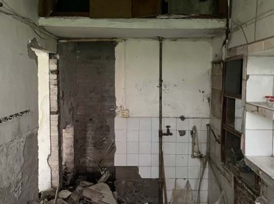 冰墩墩的来历（冰墩墩的来历是什么）