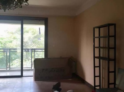 郁金香是哪个国家的国花（郁金香是哪个国家的国花呢）