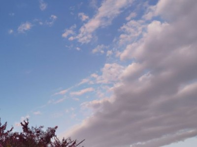 房产证未下来如何做公证及为子女办理房产证公证