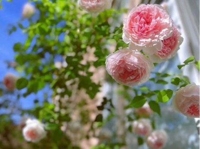 空调按在卧室哪个位置示意图（空调按在卧室的什么位置比较好）