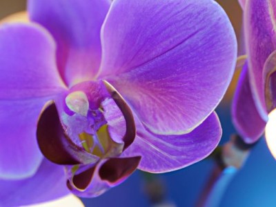 惠达卫浴怎么样（惠达卫浴怎么样是几线品牌）