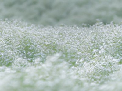 房子过户有时间限制吗