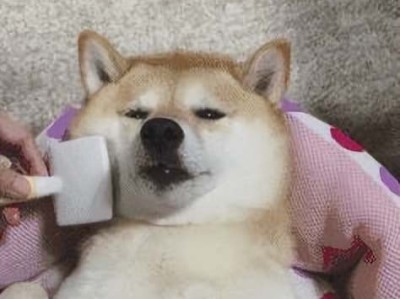 新的面包机怎样清洁（新的面包机怎样清洁 美女）