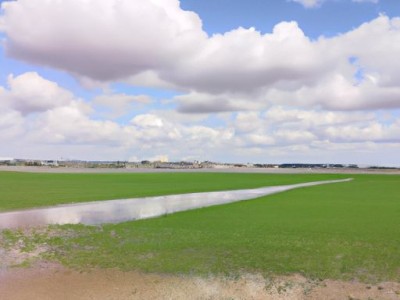 田地是哪个部门管理的及田地是哪个部门管理的呢？