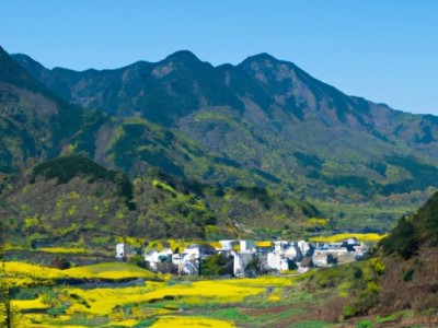 走亲戚要送什么礼品？这些礼品最受欢迎！